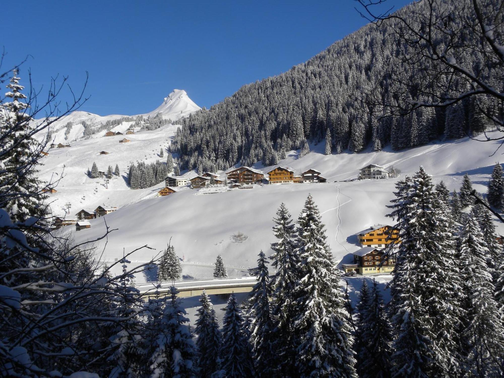 Hotel Alpenblume Damuels Dış mekan fotoğraf